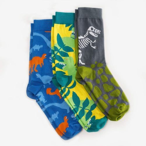 Шкарпетки чоловічі Dodo Socks Dino 42-43, набір 3 пари