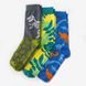 Шкарпетки чоловічі Dodo Socks Dino 42-43, набір 3 пари