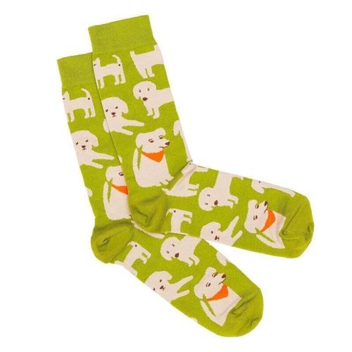 Модные носки мужские Dodo Socks Brovko 42-43, Желтые