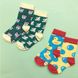 Набор детских носков Sammy Icon Albert+Furphy 12-24 месяцев , 2 пары