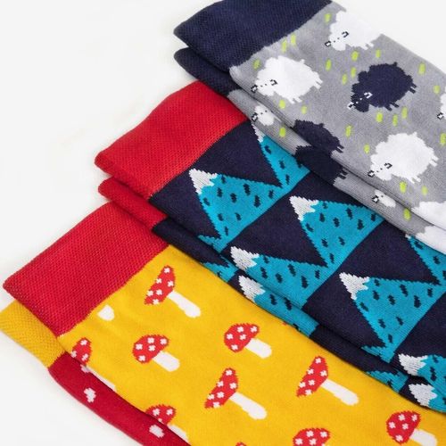 Шкарпетки жіночі Dodo Socks Yukon 39-41, набір 3 пари