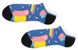 Шкарпетки жіночі короткі Sammy Icon Auberg 36-40