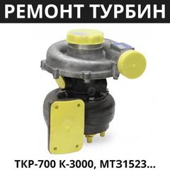 Ремонт Турбіни ТКР-700 К-3000, МТЗ1523, Гомсільмаш, Амкодор | Д-260
